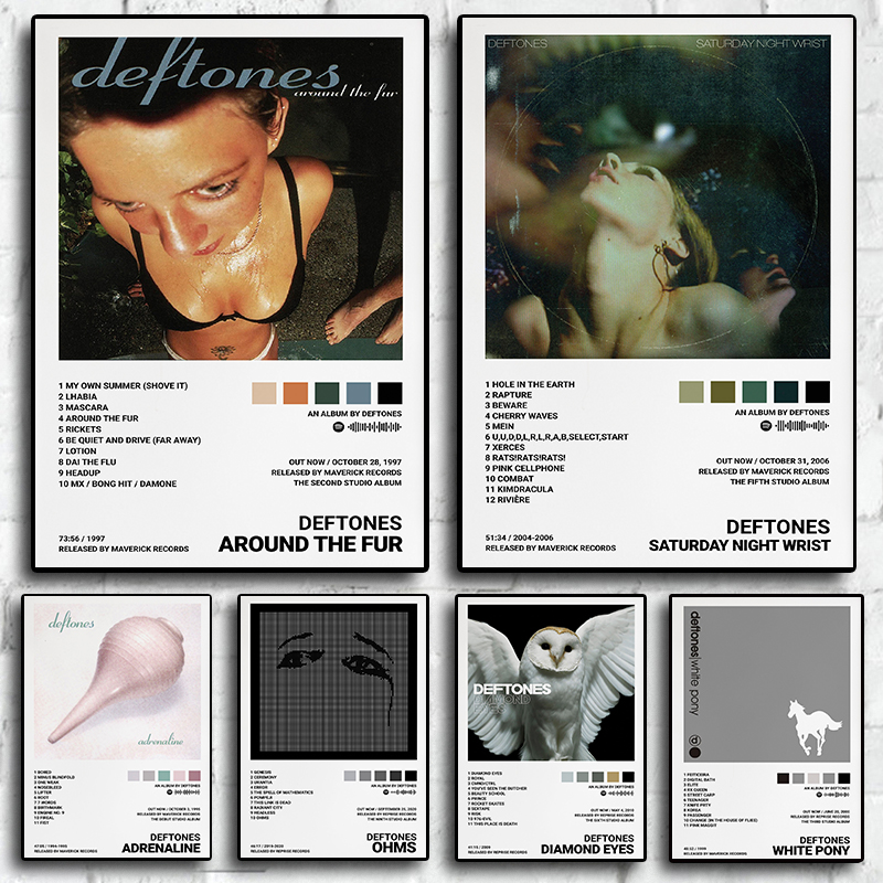 Musical Instrument Painting - American Band Music Deftones Album Around