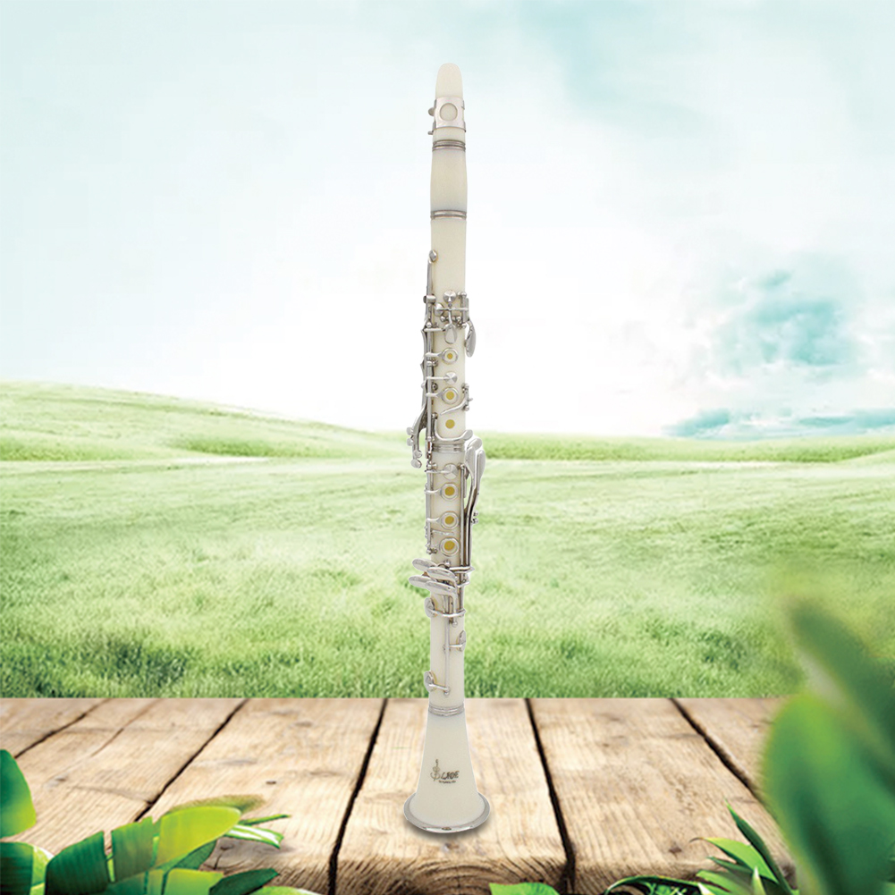 Bb Clarinet 17 Keys with Case  - Musical Instrument Reed incelemesi ve fiyatı